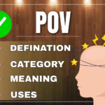 POV Meaning