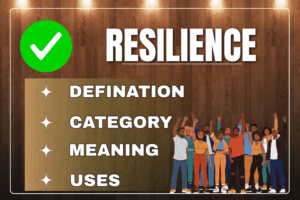 Resilience Meaning