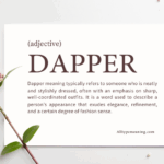 Dapper Meaning