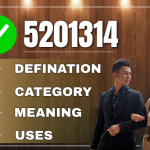 5201314 meaning