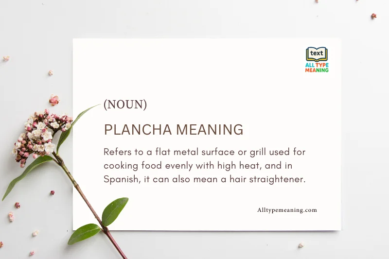 Plancha Meaning