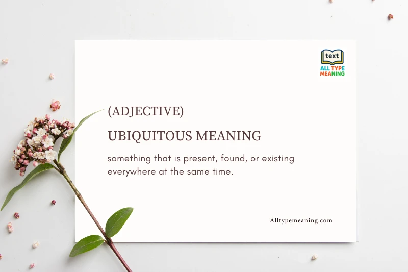 UBIQUITOUS Meaning