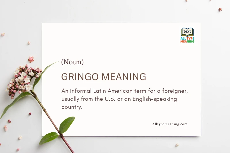 gringo meaning