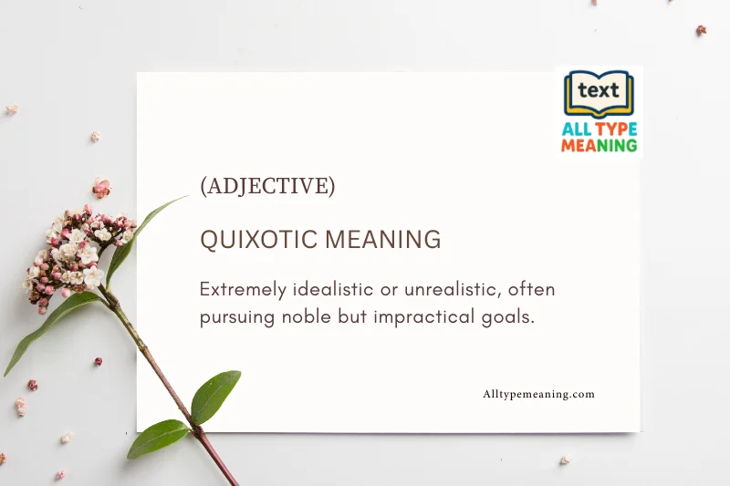 quixotic meaning