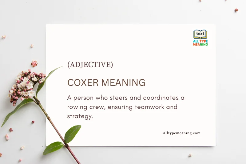 Coxer meaning
