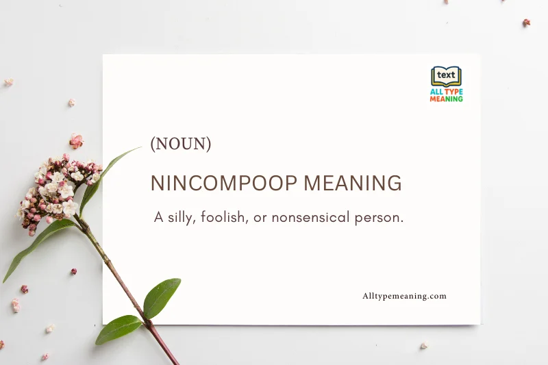Nincompoop meaning
