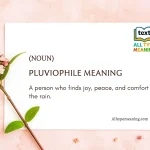 Pluviophile meaning