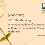 5201314 meaning