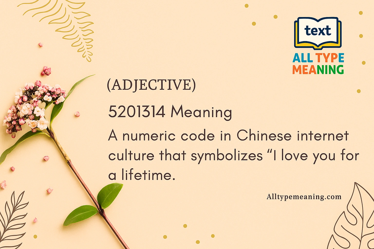 5201314 meaning