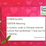 5201314 meaning