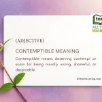 Contemptible Meaning