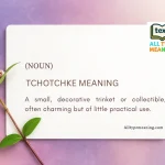 Tchotchke meaning