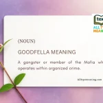 Goodfella meaning