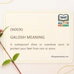 Galosh meaning