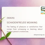 Schadenfreude meaning