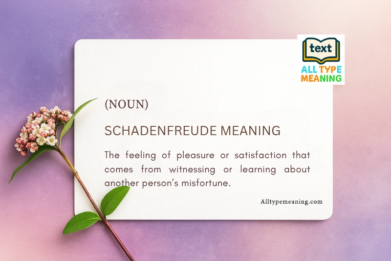 Schadenfreude meaning