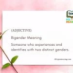Bigender Meaning