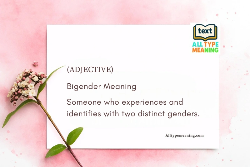 Bigender Meaning