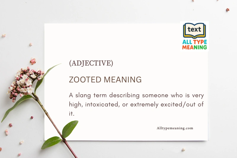 Zooted meaning