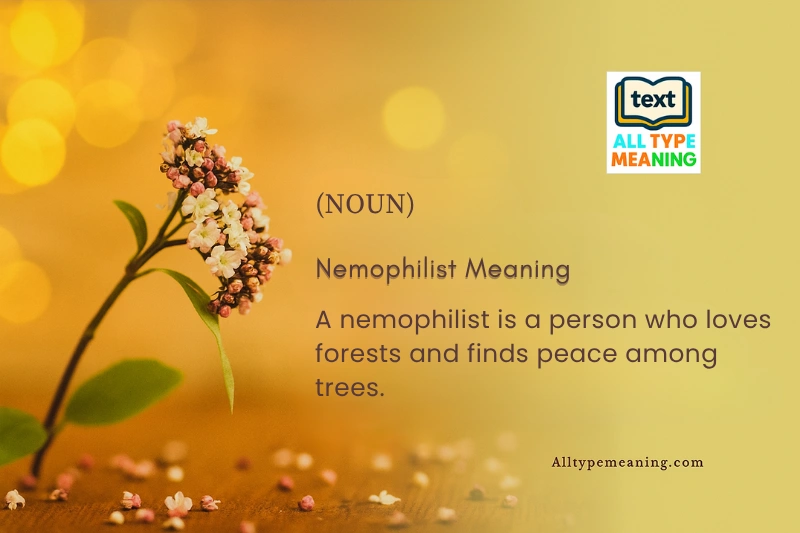 Nemophilist meaning