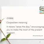 Carpediem Meaning in Kannada