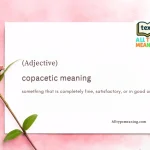 copacetic meaning