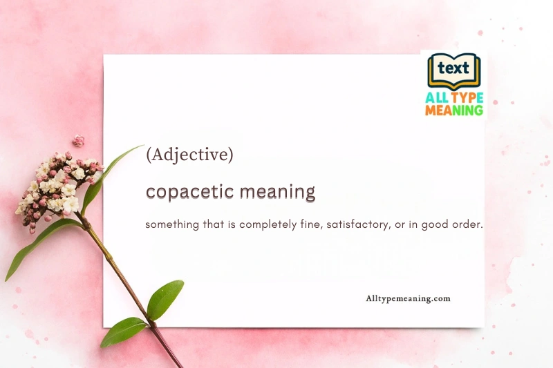copacetic meaning